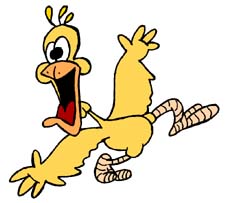 chicken