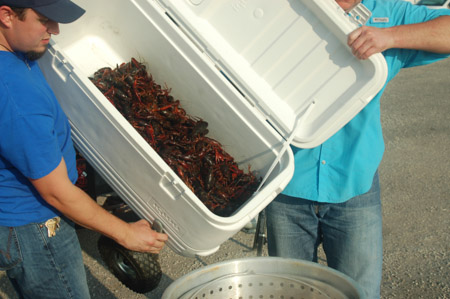 Adding the crawfish to the boil